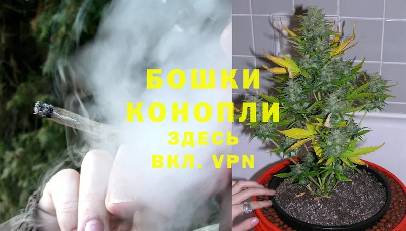 кракен как зайти  цена   Калуга  Бошки Шишки THC 21% 